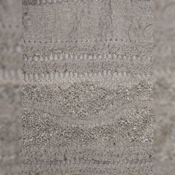 Express Taupe Shimmery Lace Women's Blouse - Picture 4 of 4